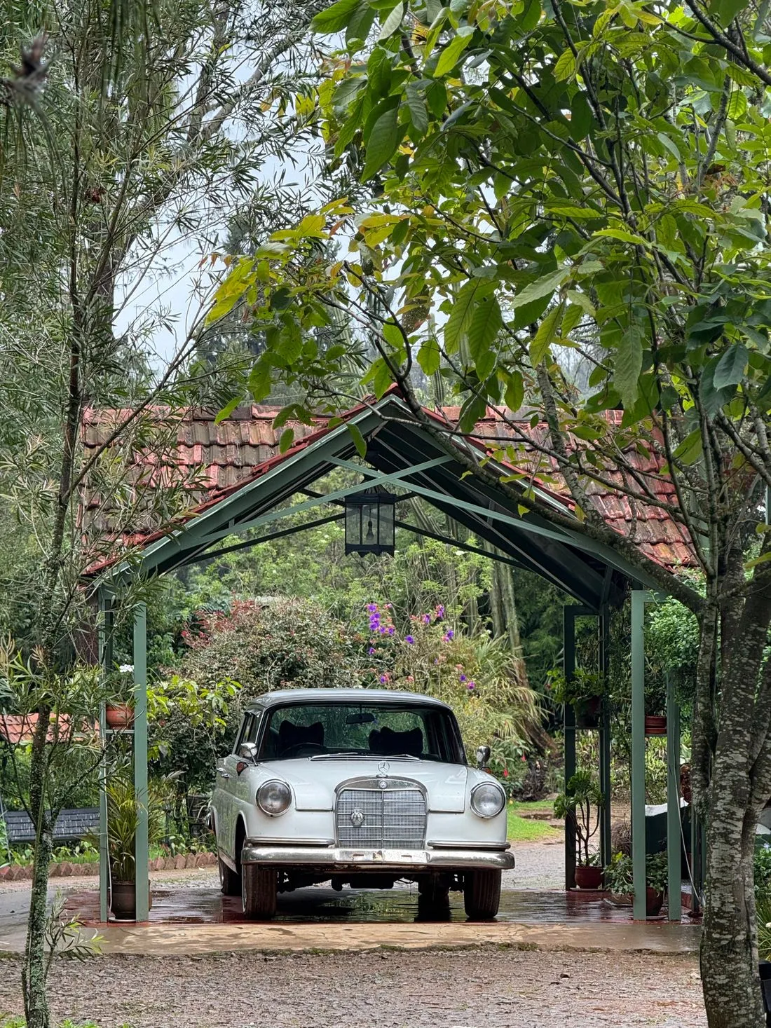 Holz-Carport im Garten mit Fahrzeug